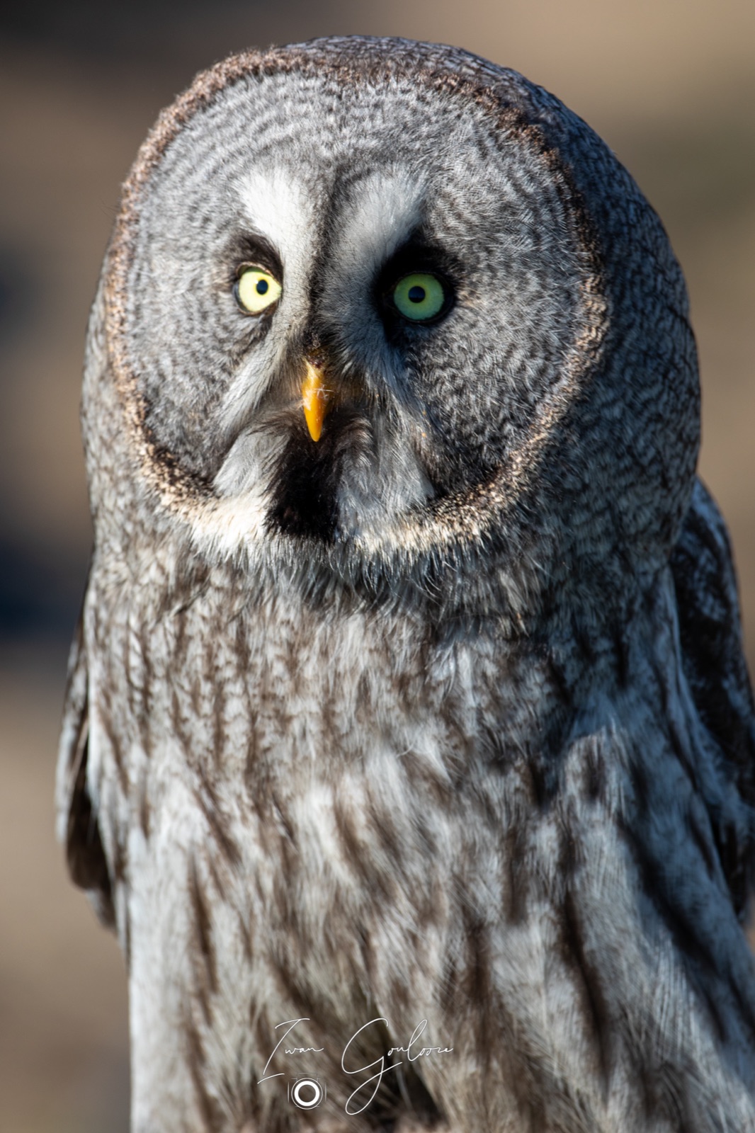 18 april 2022 095105  5D46422